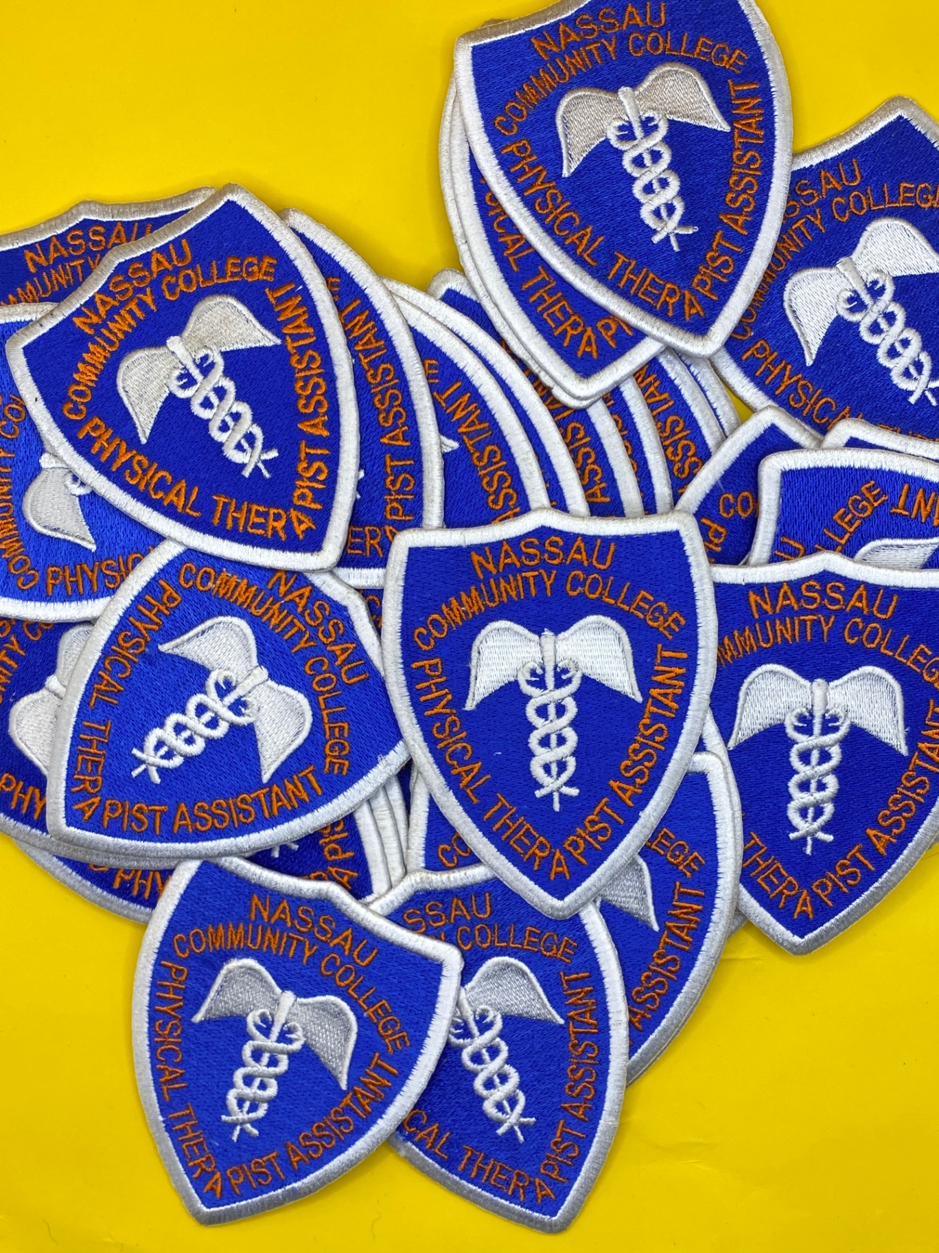 Nassau Community College woven shield patch