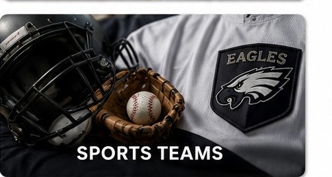 Sports Teams